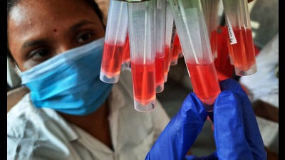 The new, highly mutated Omicron variant of the SARS-CoV-2 is fast replacing the Delta variant in Mumbai health experts said as the city recorded 3,555 fresh cases on Thursday (HT) The new, highly mutated Omicron variant of the SARS-CoV-2 is fast replacing the Delta variant in Mumbai health experts said as the city recorded 3,555 fresh cases on Thursday (HT)