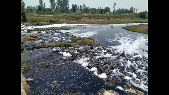 Untreated effluent in the Dhanaura escape canal getting mixed in Yamuna waters near Nabipur village in Karnal district. (HT File)