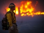 Wind gusts of over 100 miles (160 kilometres) an hour have been reported in some places, fanning the flames and complicating firefighting efforts.