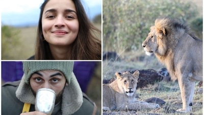 Alia Bhatt and Ranbir Kapoor seem to be ringing in 2022 with a wildlife safari. Alia Bhatt and Ranbir Kapoor seem to be ringing in 2022 with a wildlife safari.