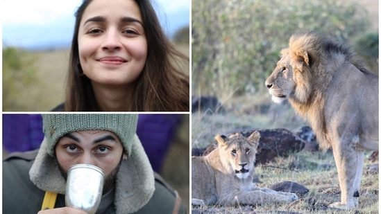 Alia Bhatt and Ranbir Kapoor's dreamy proposal at Maasai Mara.