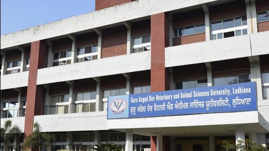 In the research project, GADVASU , Ludhiana, will use bacteria killing viruses called “phages” to control Aeromonas contamination in fishery products to develop phage-cocktails (HT PHOTO)