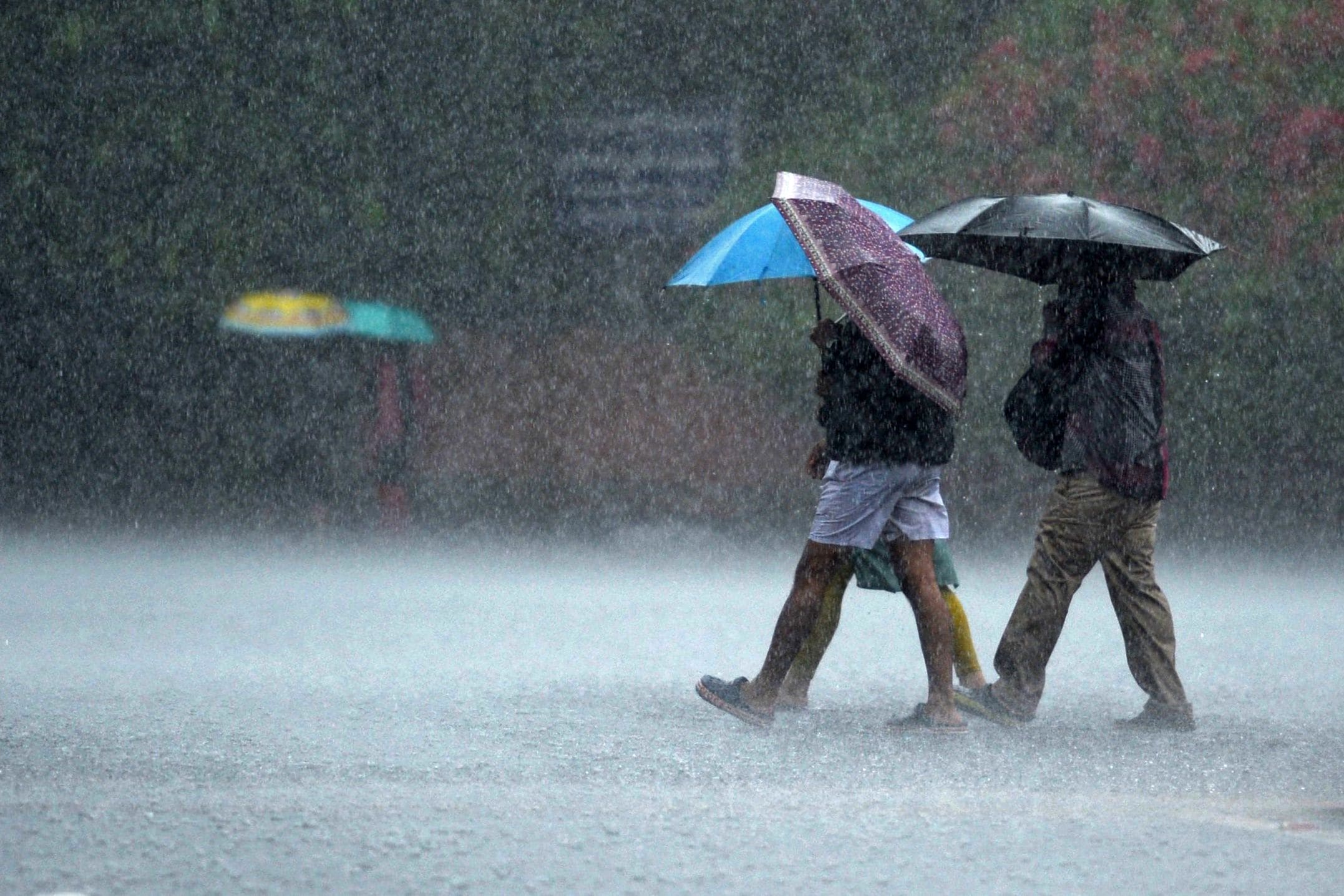 People make their way through a street during a heavy rain shower in Chennai. (AFP File Photo)