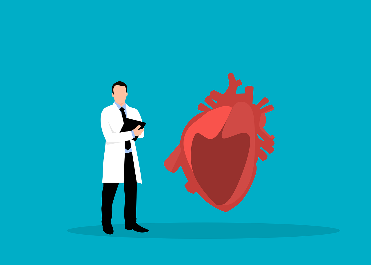 Study reveals that many Americans have hearts that function years older than their actual age. (Pixabay) Study reveals that many Americans have hearts that function years older than their actual age. (Pixabay)