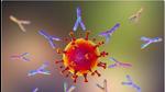 Doctors bank on new antiviral drug Molnupiravir and antibody cocktails for high-risk patients (Stock Pic) Doctors bank on new antiviral drug Molnupiravir and antibody cocktails for high-risk patients (Stock Pic)