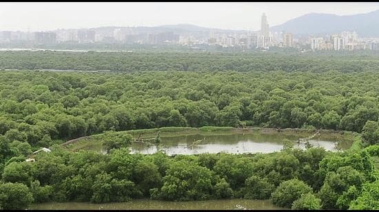More than half of the state’s total mangrove cover was protected as a legal ‘forest’ at the end of 2021, up from 30% at the beginning of that year (Hindustan Times)