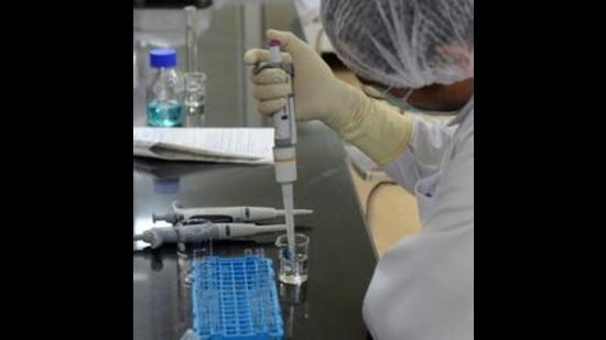 As of Saturday Pune district reported 620 new Covid-19 cases and no deaths due to the infection. (REUTERS) As of Saturday Pune district reported 620 new Covid-19 cases and no deaths due to the infection. (REUTERS)