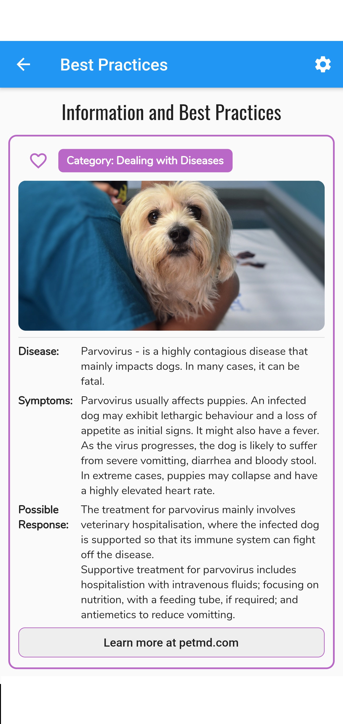 The app, free and available for Android and iOS, also has a section of general information collated by Saighal, based on research as well as in-depth conversations with vets and animal-care volunteers. The app, free and available for Android and iOS, also has a section of general information collated by Saighal, based on research as well as in-depth conversations with vets and animal-care volunteers.