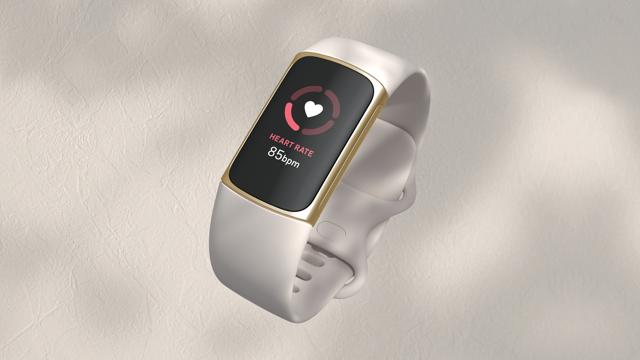 The rage of Fit Bit watches is ideal for urban men who have an active lifestyle (credit) The rage of Fit Bit watches is ideal for urban men who have an active lifestyle (credit)