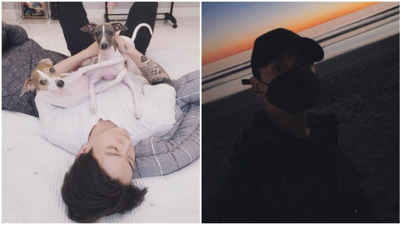 BTS: Jungkook's shares pics with dogs, calls them Bam's 'hyungs'; sets new Instagram record with 1st post of 2022