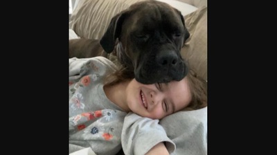 The sweet girl and her pet doggo sharing a bonding moment. (reddit/@geewhizitslis07) The sweet girl and her pet doggo sharing a bonding moment. (reddit/@geewhizitslis07)