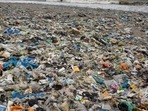 That Covid has resulted in significant amounts of plastic waste is not new.(Satish Bate/HT Photo) That Covid has resulted in significant amounts of plastic waste is not new.(Satish Bate/HT Photo)