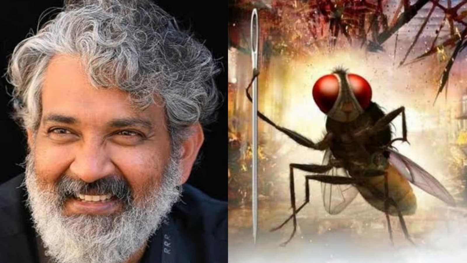 Jr NTR reveals SS Rajamouli kept flies in fridge while making Makkhi,  director says his driver 'got angry' about film - Hindustan Times