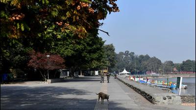 Sukhna Lake wears a deserted look after the UT administration restricted the entry hours to 5am to 9am and 6pm to 8pm from Monday to Saturday. The lake will remain closed on Sundays. (Ravi Kumar/HT) Sukhna Lake wears a deserted look after the UT administration restricted the entry hours to 5am to 9am and 6pm to 8pm from Monday to Saturday. The lake will remain closed on Sundays. (Ravi Kumar/HT)