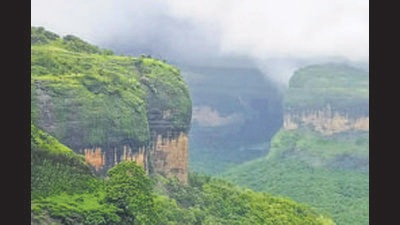 States must accept that the climate crisis is a reality, and instead of delaying the decision-making process, devise more decisive climate-proofing actions to save the valuable Western Ghats. (HT Photo) States must accept that the climate crisis is a reality, and instead of delaying the decision-making process, devise more decisive climate-proofing actions to save the valuable Western Ghats. (HT Photo)