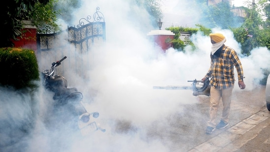 Early during the dengue outbreak, Delhi confirmed the presence of the more dangerous Type II strain being in circulation in the city(Ravi Kumar/HT Photo/Representative Photo)