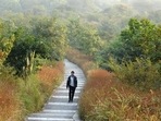 The services provided by healthy ecosystems influence complex global phenomena such as regulating climate patterns, mitigating the effects of soil erosion, and natural calamities