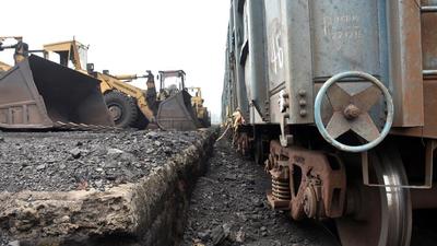 Hasdeo Arand, sitting on rich coal reserves, is one of the largest contiguous stretches of dense forests in central India. It spans 170,000 hectares and has 22 coal blocks underneath it. (ANI) Hasdeo Arand, sitting on rich coal reserves, is one of the largest contiguous stretches of dense forests in central India. It spans 170,000 hectares and has 22 coal blocks underneath it. (ANI)