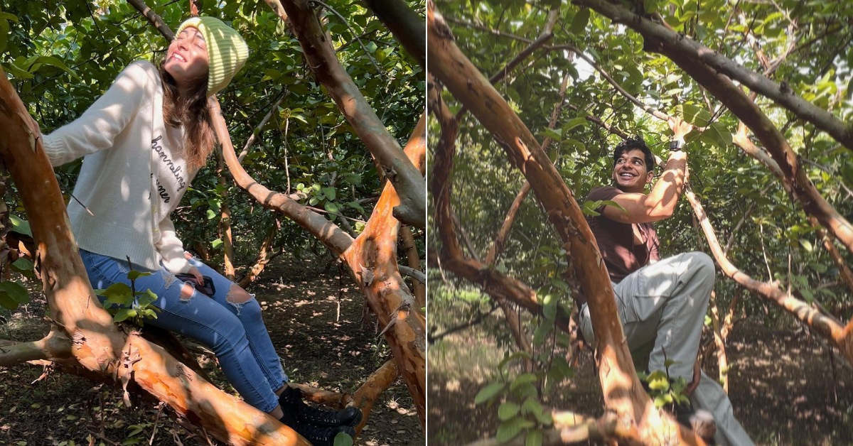 Ananya Panday and Ishaan Khatter in a guava farm in Rajasthan.(Instagram)