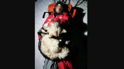 The image shows the dog lying on top of the hiker who was stranded in Croatian mountains. (Facebook/@HrvatskaGSS )