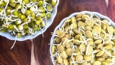 Sprouts are advised to be consumed as a breakfast dish. They help in reducing fat. Sprouts are advised to be consumed as a breakfast dish. They help in reducing fat.