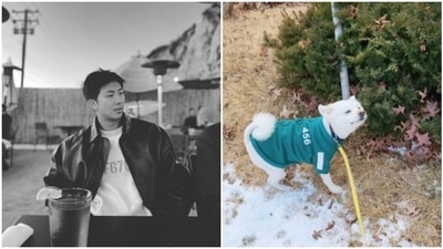 BTS' RM shared photos of Moni. BTS' RM shared photos of Moni.