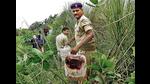 Police destroy several illicit liquor cans. In November 2021, Bihar witnessed a series of hooch tragedies in rural areas of Gopalganj, West Champaran, Samastipur and Muzaffarpur districts (PTI file photo) Police destroy several illicit liquor cans. In November 2021, Bihar witnessed a series of hooch tragedies in rural areas of Gopalganj, West Champaran, Samastipur and Muzaffarpur districts (PTI file photo)