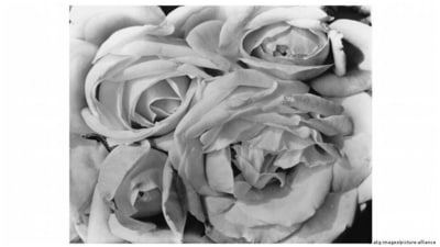 How the work of radical photographer Tina Modotti stood the test of time (akg-images/picture-alliance ) How the work of radical photographer Tina Modotti stood the test of time (akg-images/picture-alliance )