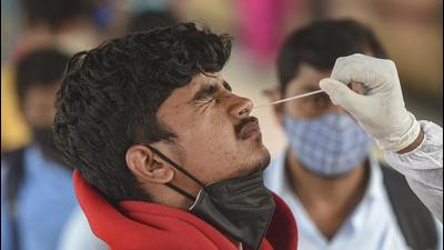 A health worker takes a swab sample of a traveller for Covid-19 testing at Dadar railway station in Mumbai on Friday. (PTI) A health worker takes a swab sample of a traveller for Covid-19 testing at Dadar railway station in Mumbai on Friday. (PTI)