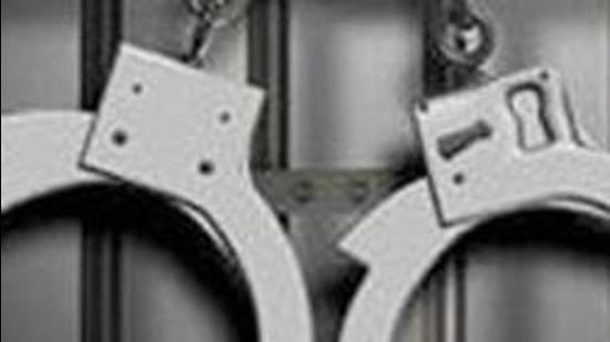 The accused Manpreet Singh and Neeraj of Ludhiana arrested for stealing 117 street lights , said they had sold the stolen lights further to a person. (Representative Photo/HT Files)