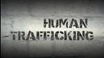 The draft bill comes at the right time as there has been an increase in trafficking cases during the pandemic (Shutterstock)