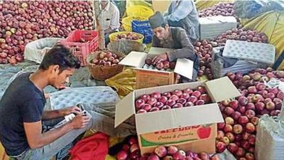 For the last two years, home-grown apples have been facing stiff competition from duty-free fruits being imported from Iran under the India‘s Free Trade Agreement. (Image for representational purpose)