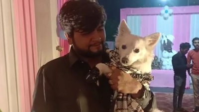 People were seen revelling without masks at pet dog Abby's birthday recently.&nbsp;