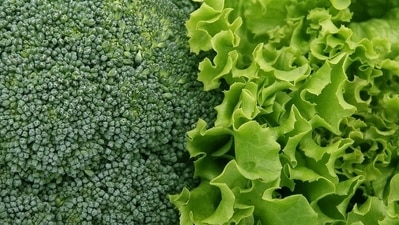 Boost iron levels with green leafy vegetables: Green leafy vegetables will improve your general skin and hair health and also help with faster cell regeneration. (Shutterstock)
