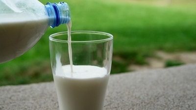 Use raw milk to soothe the skin. Apply a cold raw milk compress on the skin and leave it for 5-10 minutes. (Pixabay)