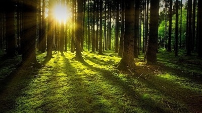 Enjoy the sun: It will help if you sit in the sun daily for about 20 minutes a day. Catch the early morning sun to improve the vitamin D levels in skin. (Pixabay)