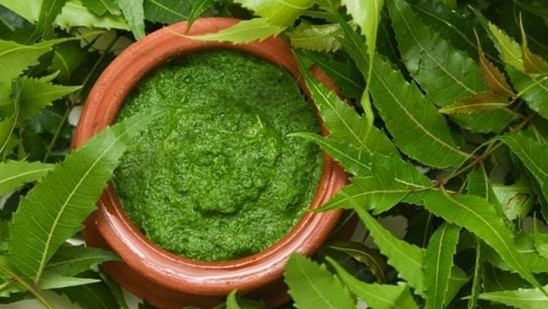 Croving washed and tender neem leaves and use this paste on the skin to get rid of acne and imperfections naturally. (Shutterstock) Croving washed and tender neem leaves and use this paste on the skin to get rid of acne and imperfections naturally. (Shutterstock)