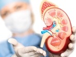 When a person donates a kidney after death, the process often involves taking a biopsy to assess the health of the kidney that will be donated. (Representational image)