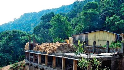 The environment ministry had put out a consultation paper on amending the Forest Conservation Act of 1980 on October 2 for public comments. (HT File) The environment ministry had put out a consultation paper on amending the Forest Conservation Act of 1980 on October 2 for public comments. (HT File)