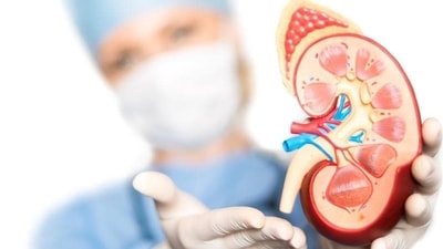 When a person donates a kidney after death, the process often involves taking a biopsy to assess the health of the kidney that will be donated. (Representational image) When a person donates a kidney after death, the process often involves taking a biopsy to assess the health of the kidney that will be donated. (Representational image)