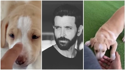Hrithik Roshan with his new puppy Mowgli. Hrithik Roshan with his new puppy Mowgli.
