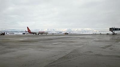 Flight services at Srinagar airport resume following improvement in wet weather conditions on Sunday. (ANI)