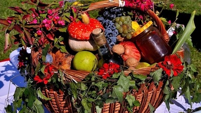 Ayurveda tips: Nutrients to add in daily diet, food items to exclude for holistic lifestyle (Pixabay) Ayurveda tips: Nutrients to add in daily diet, food items to exclude for holistic lifestyle (Pixabay)