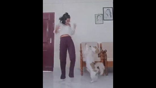 The doggo and its human dancing to Guru Randhawa's Dance Meri Rani featuring Nora Fatehi. (instagram/@leo14399) The doggo and its human dancing to Guru Randhawa's Dance Meri Rani featuring Nora Fatehi. (instagram/@leo14399)