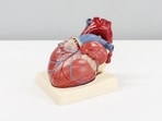 According to a recent study, many patients who undergo heart surgery won't have to take opioids as a pain medication after they get discharged from the hospital.(Unsplash) According to a recent study, many patients who undergo heart surgery won't have to take opioids as a pain medication after they get discharged from the hospital.(Unsplash)