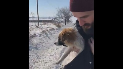 The stray puppy after being wrapped in a coat before he was adopted by this man. (reddit/@BeneficialLineage) The stray puppy after being wrapped in a coat before he was adopted by this man. (reddit/@BeneficialLineage)