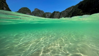 Authorities shut the whole of Maya Bay to the public in 2018, saying coral reefs and beach areas had been damaged by constant tourist activities. But since the start of this year, some visitors have been allowed to return. (REUTERS)