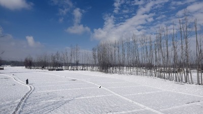 The minimum temperature in Kupwara in north Kashmir settled at a low of minus 0.6 degrees Celsius. (HT Photo/Waseem Andrabi )