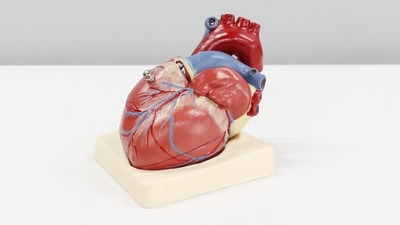 According to a recent study, many patients who undergo heart surgery won't have to take opioids as a pain medication after they get discharged from the hospital. (Unsplash) According to a recent study, many patients who undergo heart surgery won't have to take opioids as a pain medication after they get discharged from the hospital. (Unsplash)