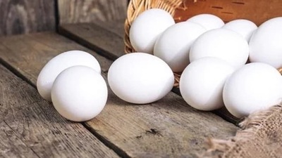 A healthy immune system: The high nutrient density of eggs enables them to support the body's natural immune system and advanced physical growth. The vitamin A, vitamin B-12, and selenium in eggs are key to keeping the immune system healthy. (Pixabat) A healthy immune system: The high nutrient density of eggs enables them to support the body's natural immune system and advanced physical growth. The vitamin A, vitamin B-12, and selenium in eggs are key to keeping the immune system healthy. (Pixabat)